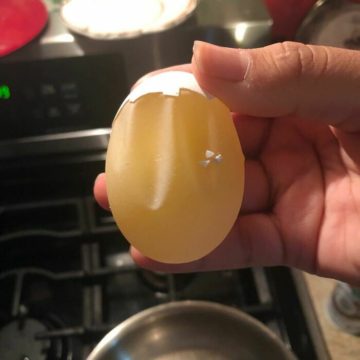 96 Wild Pictures That Make You Appreciate How Weird And Wonderful The World Is