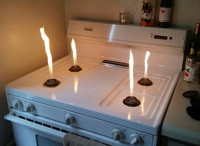 96 Wild Pictures That Make You Appreciate How Weird And Wonderful The World Is