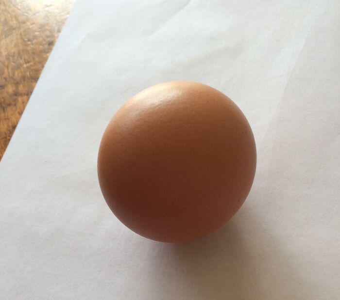 96 Wild Pictures That Make You Appreciate How Weird And Wonderful The World Is