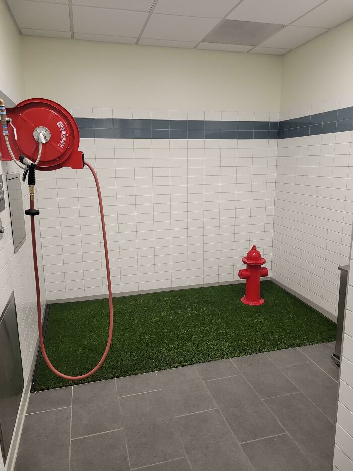 96 Wild Pictures That Make You Appreciate How Weird And Wonderful The World Is
