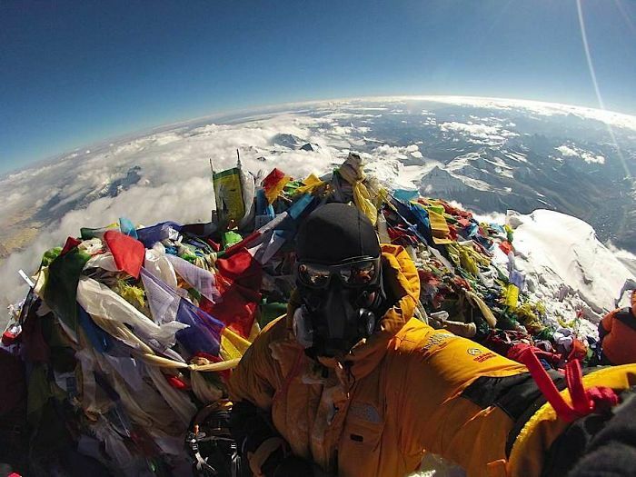 96 Wild Pictures That Make You Appreciate How Weird And Wonderful The World Is