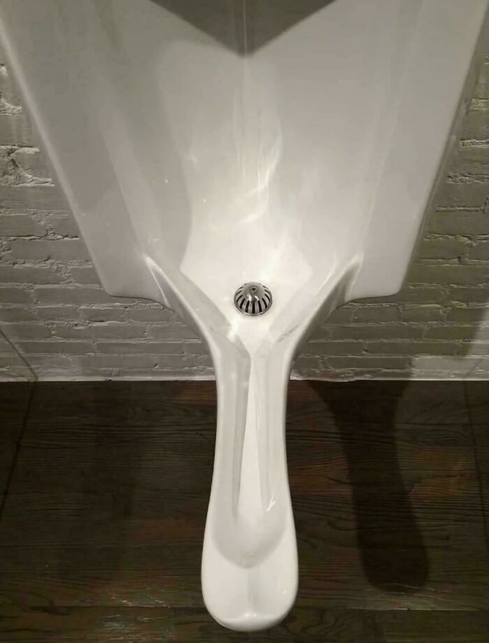 96 Wild Pictures That Make You Appreciate How Weird And Wonderful The World Is