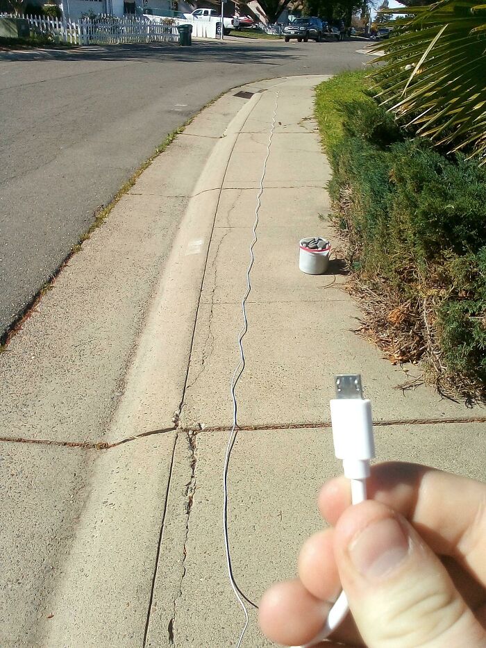 96 Wild Pictures That Make You Appreciate How Weird And Wonderful The World Is
