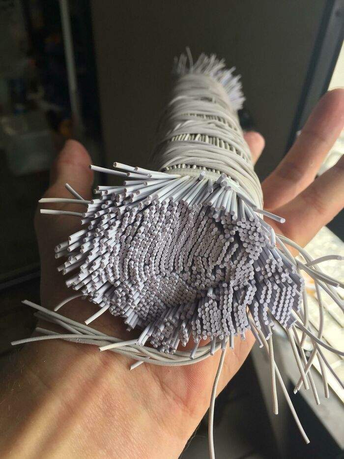 96 Wild Pictures That Make You Appreciate How Weird And Wonderful The World Is