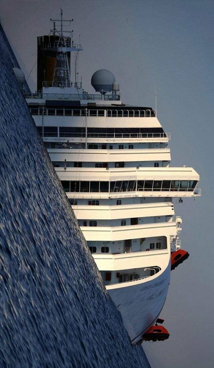 96 Wild Pictures That Make You Appreciate How Weird And Wonderful The World Is