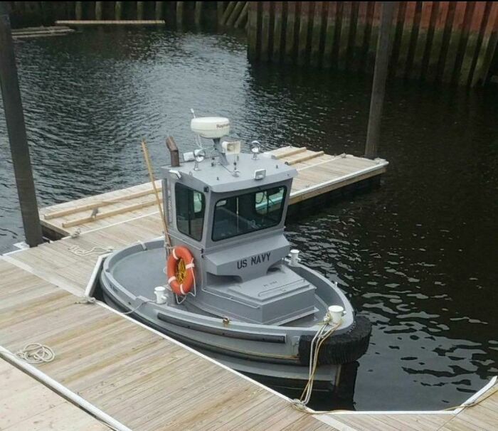 96 Wild Pictures That Make You Appreciate How Weird And Wonderful The World Is