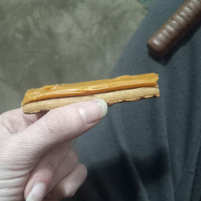 96 Wild Pictures That Make You Appreciate How Weird And Wonderful The World Is