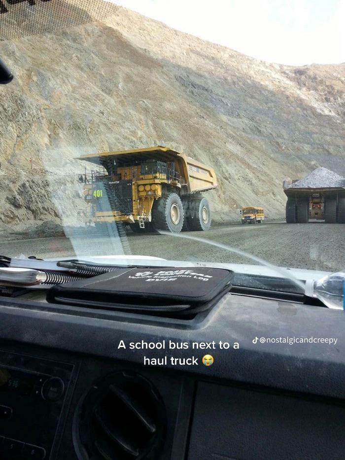96 Wild Pictures That Make You Appreciate How Weird And Wonderful The World Is