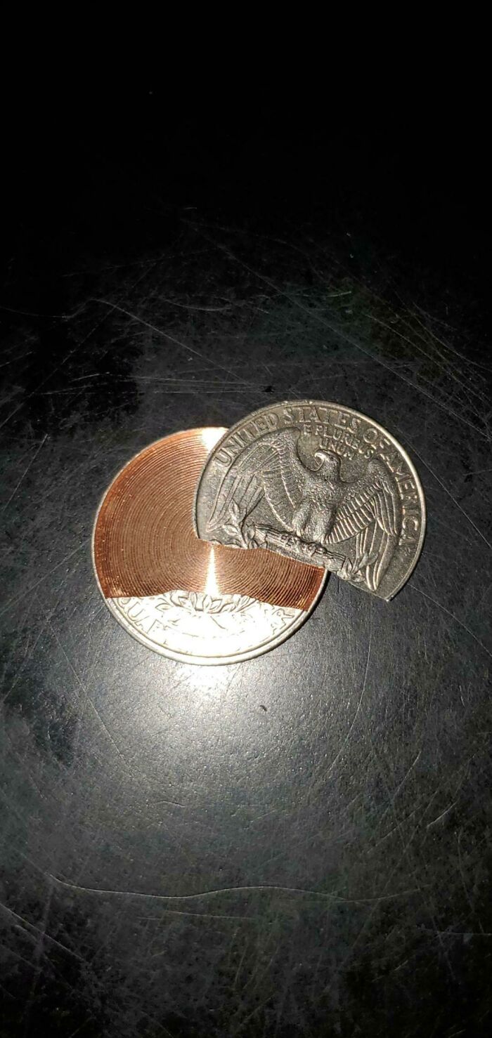 96 Wild Pictures That Make You Appreciate How Weird And Wonderful The World Is