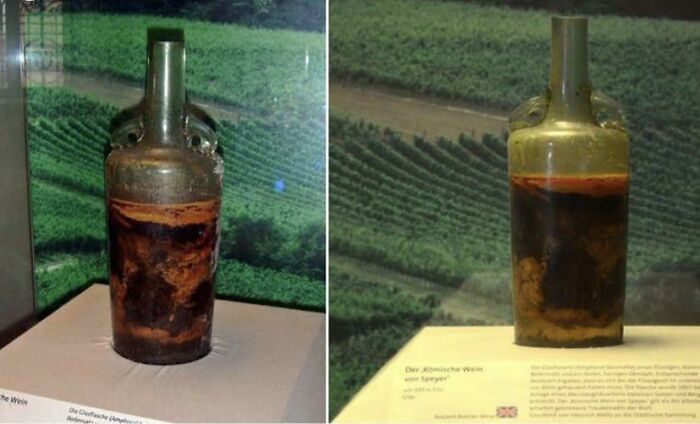 96 Wild Pictures That Make You Appreciate How Weird And Wonderful The World Is