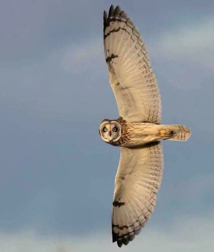 82 Amazing Photos That Might Brighten Your Day And Teach You Something New (New Pics)