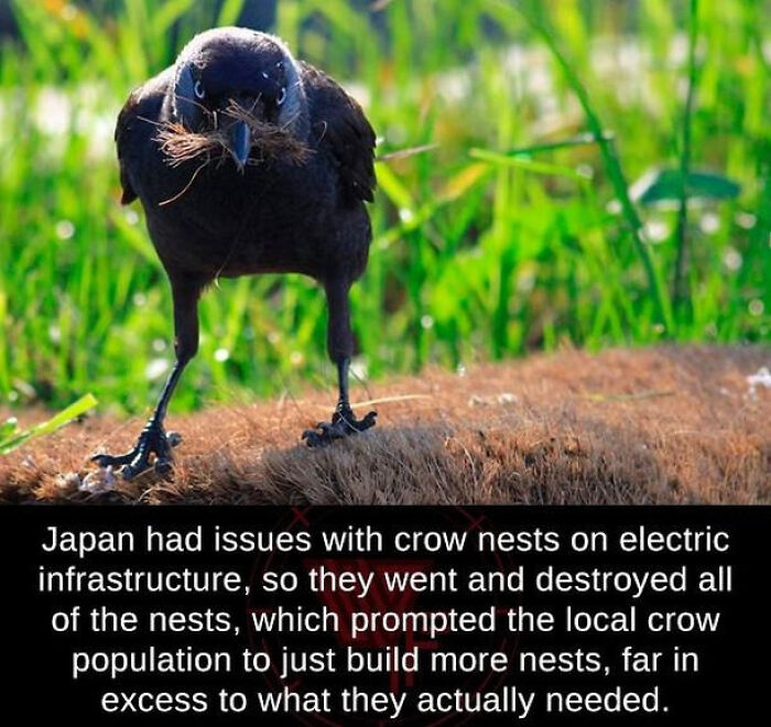 82 Amazing Photos That Might Brighten Your Day And Teach You Something New (New Pics)