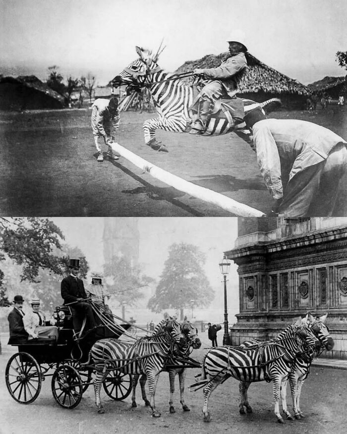 82 Amazing Photos That Might Brighten Your Day And Teach You Something New (New Pics)