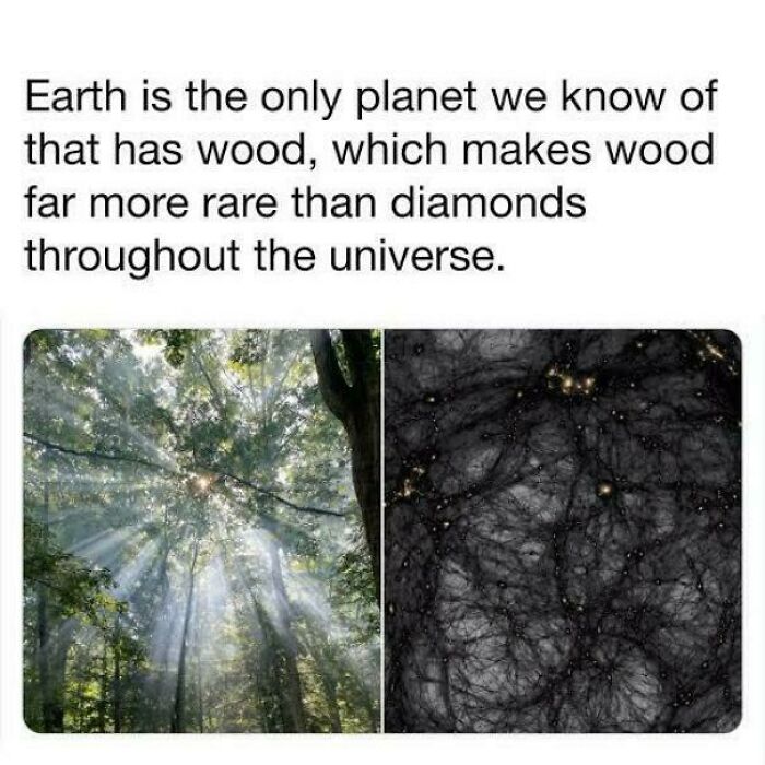 82 Amazing Photos That Might Brighten Your Day And Teach You Something New (New Pics)