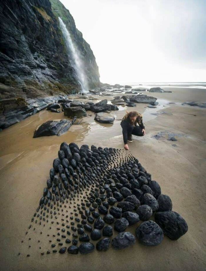 82 Amazing Photos That Might Brighten Your Day And Teach You Something New (New Pics)