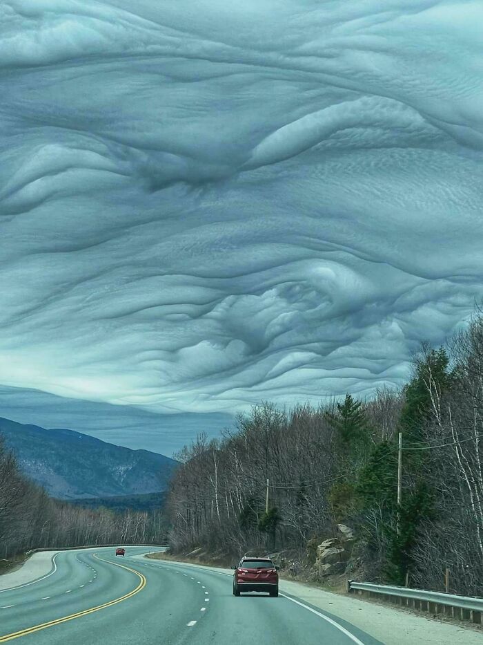 82 Amazing Photos That Might Brighten Your Day And Teach You Something New (New Pics)