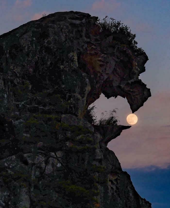 82 Amazing Photos That Might Brighten Your Day And Teach You Something New (New Pics)