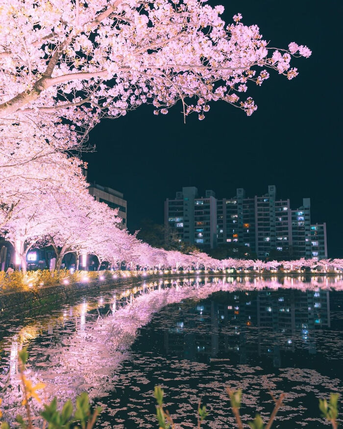 82 Amazing Photos That Might Brighten Your Day And Teach You Something New (New Pics)