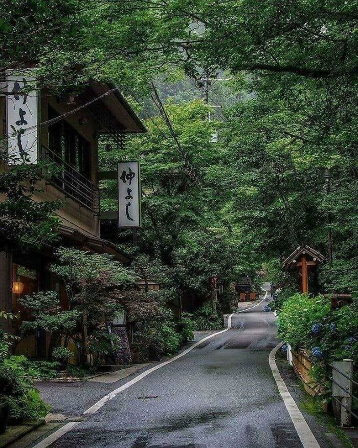82 Amazing Photos That Might Brighten Your Day And Teach You Something New (New Pics)