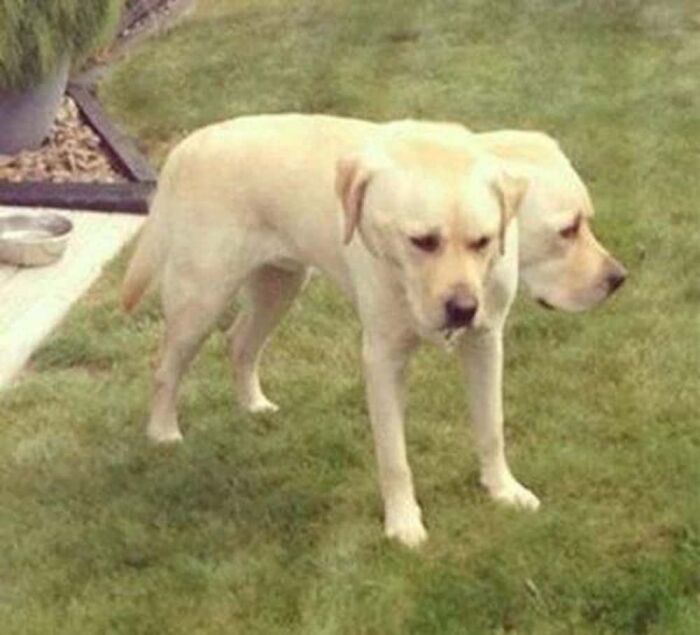 92 Hilarious Panoramic Photo Fails That Also Are Kind Of Horrifying 92 Hilarious Panoramic Photo Fails That Also Are Kind Of Horrifying