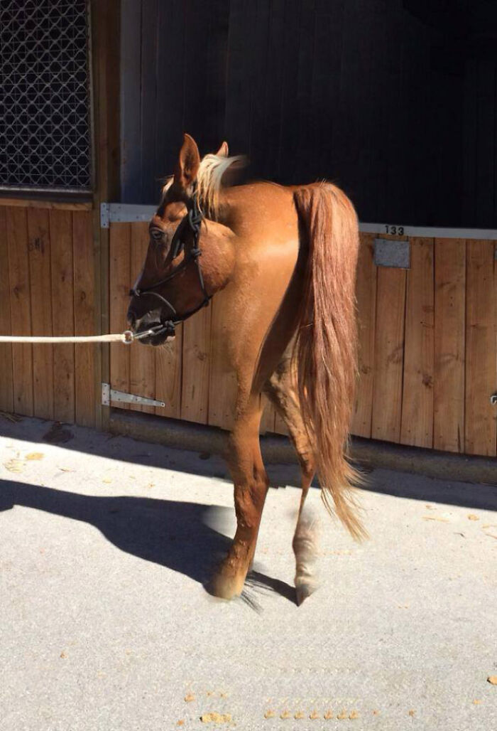 92 Hilarious Panoramic Photo Fails That Also Are Kind Of Horrifying 92 Hilarious Panoramic Photo Fails That Also Are Kind Of Horrifying