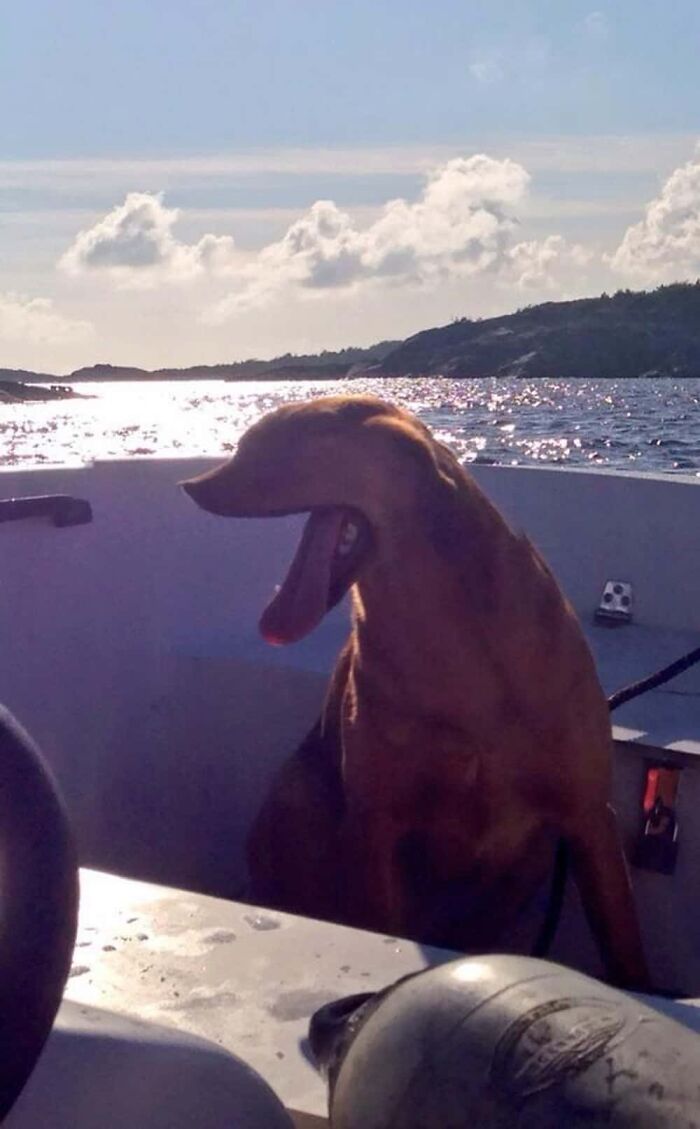 92 Hilarious Panoramic Photo Fails That Also Are Kind Of Horrifying 92 Hilarious Panoramic Photo Fails That Also Are Kind Of Horrifying