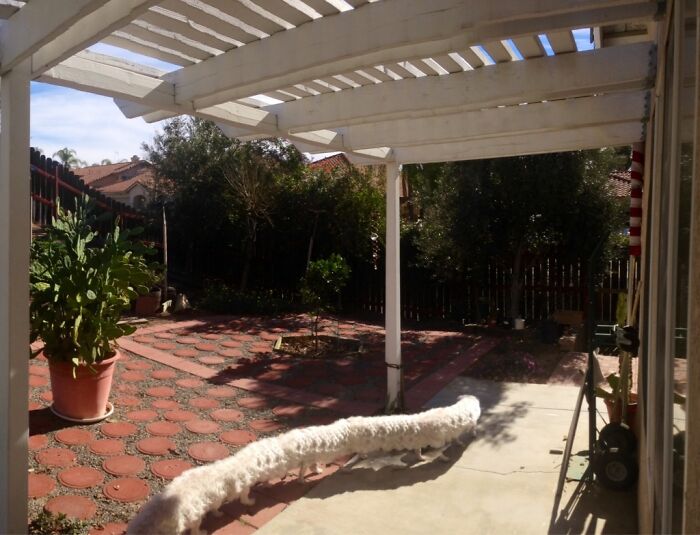92 Hilarious Panoramic Photo Fails That Also Are Kind Of Horrifying 92 Hilarious Panoramic Photo Fails That Also Are Kind Of Horrifying