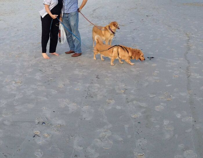 92 Hilarious Panoramic Photo Fails That Also Are Kind Of Horrifying 92 Hilarious Panoramic Photo Fails That Also Are Kind Of Horrifying