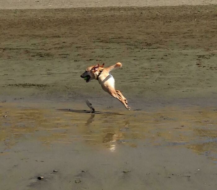 92 Hilarious Panoramic Photo Fails That Also Are Kind Of Horrifying 92 Hilarious Panoramic Photo Fails That Also Are Kind Of Horrifying