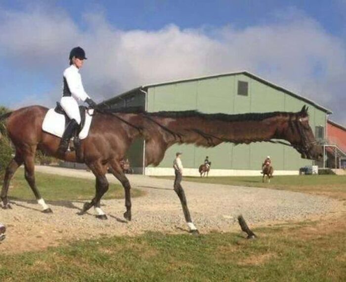 92 Hilarious Panoramic Photo Fails That Also Are Kind Of Horrifying 92 Hilarious Panoramic Photo Fails That Also Are Kind Of Horrifying