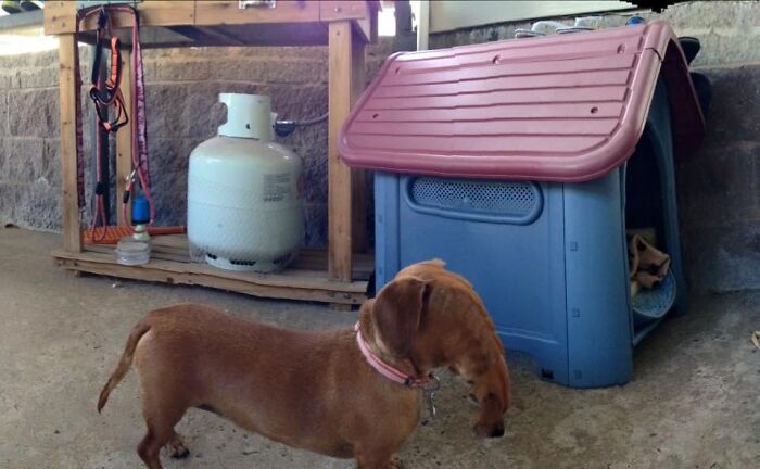 92 Hilarious Panoramic Photo Fails That Also Are Kind Of Horrifying 92 Hilarious Panoramic Photo Fails That Also Are Kind Of Horrifying