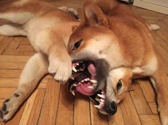 92 Hilarious Panoramic Photo Fails That Also Are Kind Of Horrifying 92 Hilarious Panoramic Photo Fails That Also Are Kind Of Horrifying