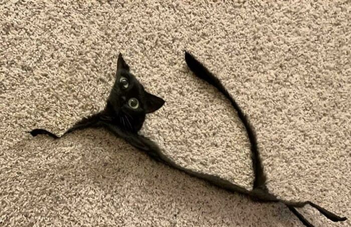 92 Hilarious Panoramic Photo Fails That Also Are Kind Of Horrifying 92 Hilarious Panoramic Photo Fails That Also Are Kind Of Horrifying