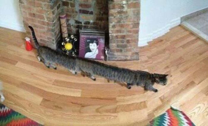 92 Hilarious Panoramic Photo Fails That Also Are Kind Of Horrifying 92 Hilarious Panoramic Photo Fails That Also Are Kind Of Horrifying