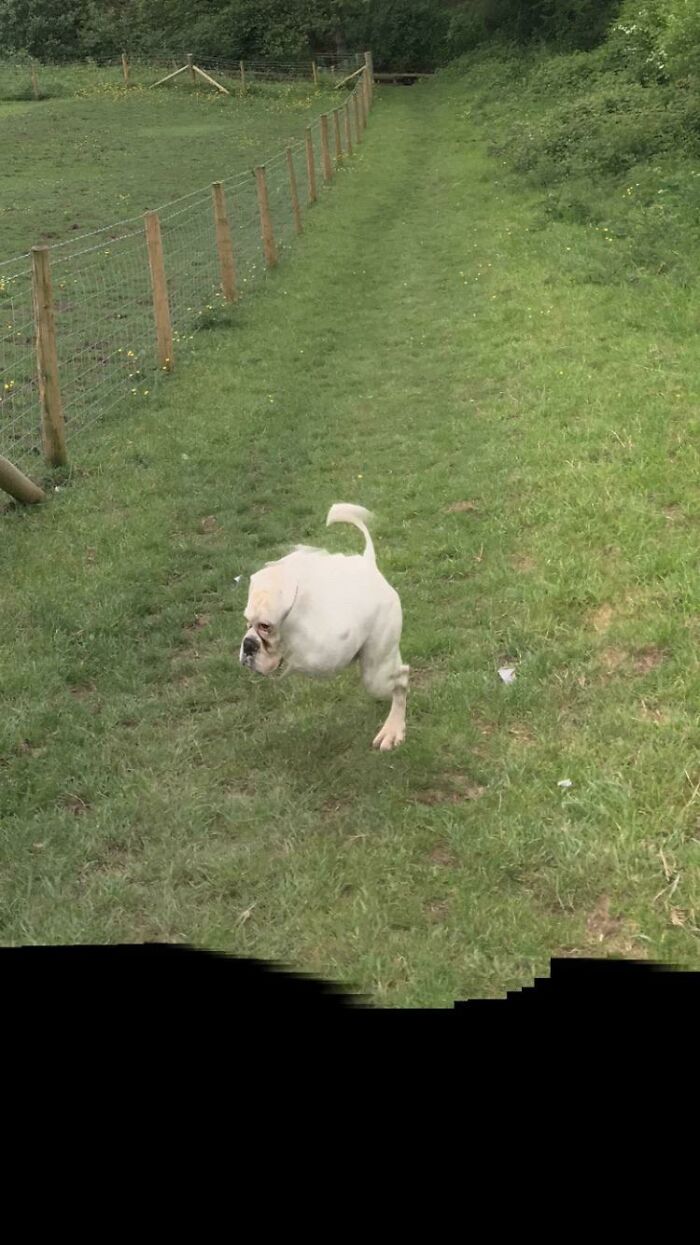 92 Hilarious Panoramic Photo Fails That Also Are Kind Of Horrifying 92 Hilarious Panoramic Photo Fails That Also Are Kind Of Horrifying