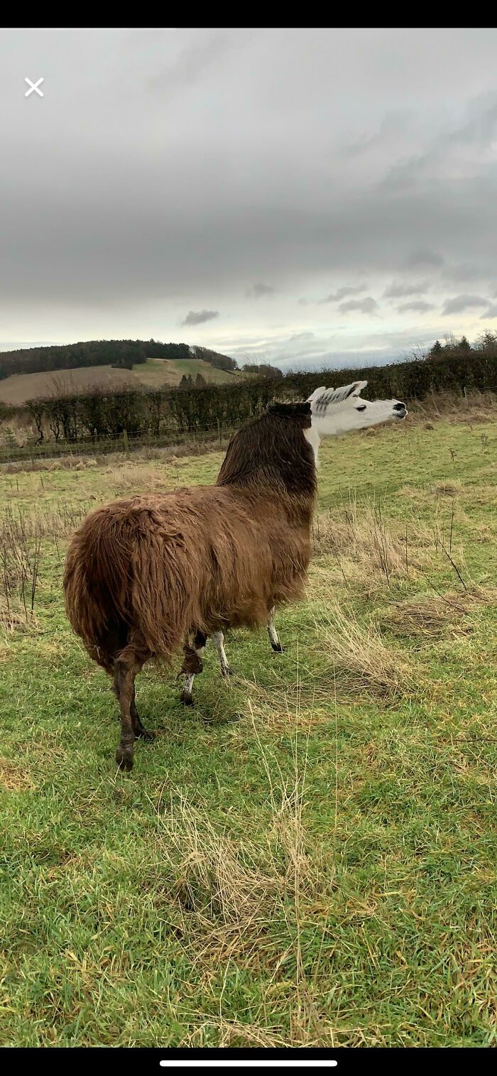 92 Hilarious Panoramic Photo Fails That Also Are Kind Of Horrifying 92 Hilarious Panoramic Photo Fails That Also Are Kind Of Horrifying