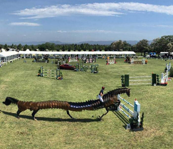 92 Hilarious Panoramic Photo Fails That Also Are Kind Of Horrifying 92 Hilarious Panoramic Photo Fails That Also Are Kind Of Horrifying