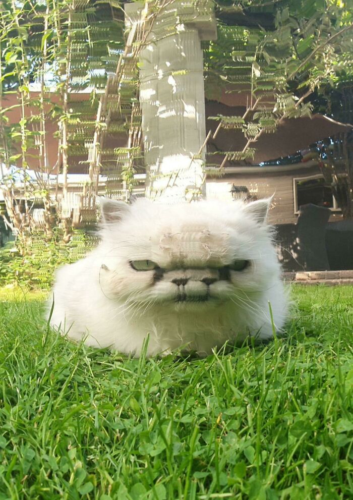 92 Hilarious Panoramic Photo Fails That Also Are Kind Of Horrifying 92 Hilarious Panoramic Photo Fails That Also Are Kind Of Horrifying
