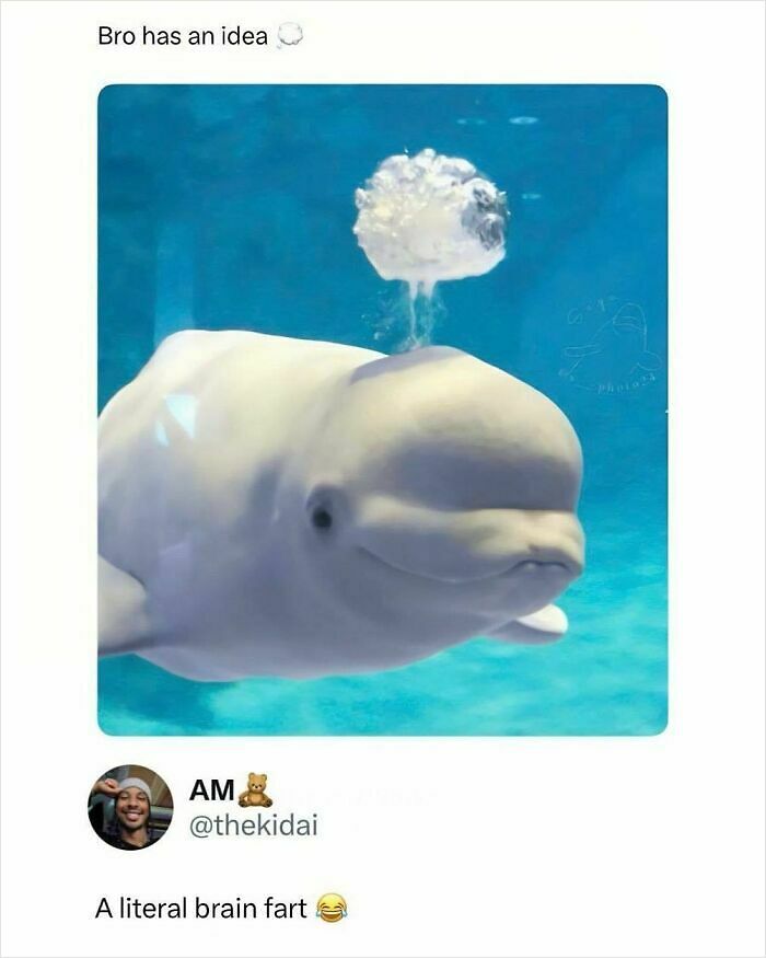 55 Funny Memes From This IG Account With 1M Followers Run By &ldquo;Hood Content King&rdquo;