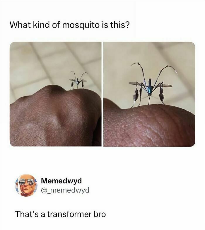 55 Funny Memes From This IG Account With 1M Followers Run By &ldquo;Hood Content King&rdquo;