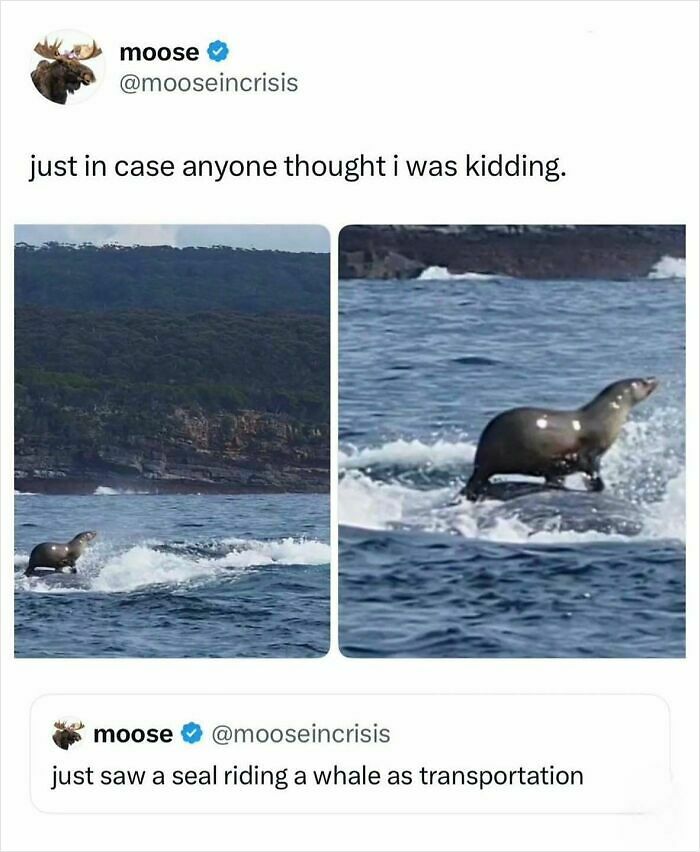 55 Funny Memes From This IG Account With 1M Followers Run By &ldquo;Hood Content King&rdquo;