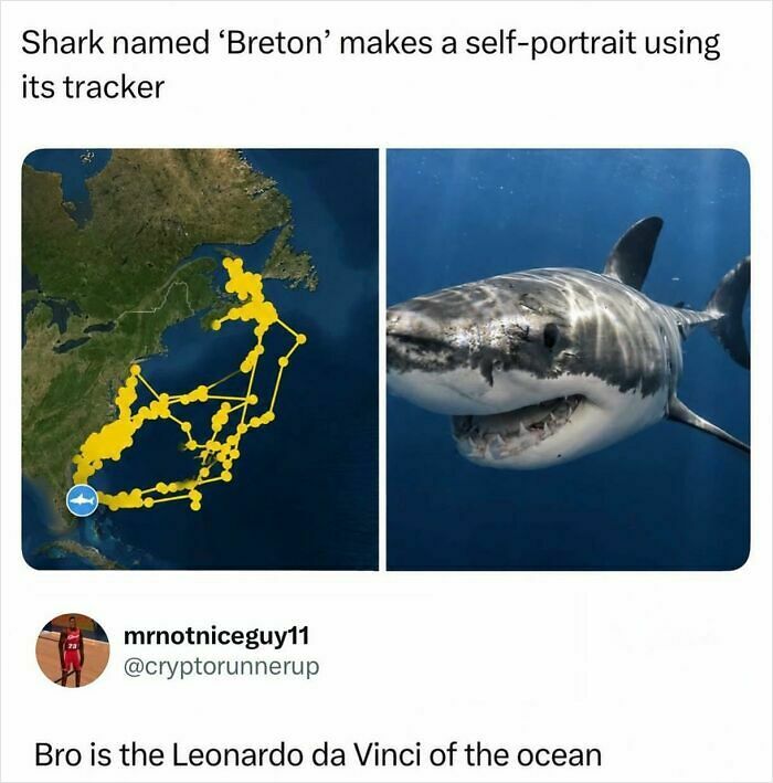 55 Funny Memes From This IG Account With 1M Followers Run By &ldquo;Hood Content King&rdquo;