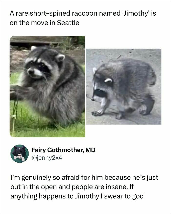 55 Funny Memes From This IG Account With 1M Followers Run By &ldquo;Hood Content King&rdquo;