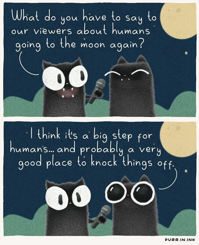 This Artist Turns Everyday Cat Behavior Into Adorable Illustrations (41 New Pics) This Artist Turns Everyday Cat Behavior Into Adorable Illustrations (41 New Pics)