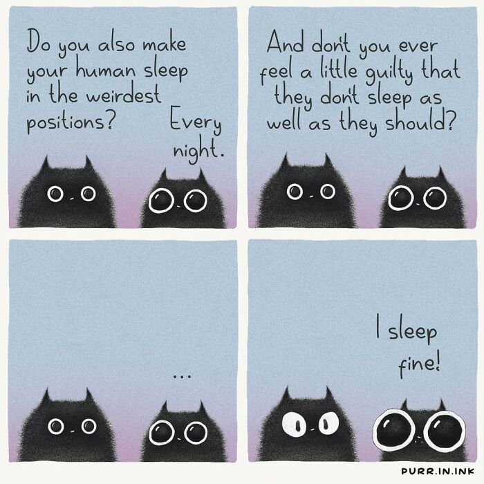 This Artist Turns Everyday Cat Behavior Into Adorable Illustrations (41 New Pics) This Artist Turns Everyday Cat Behavior Into Adorable Illustrations (41 New Pics)