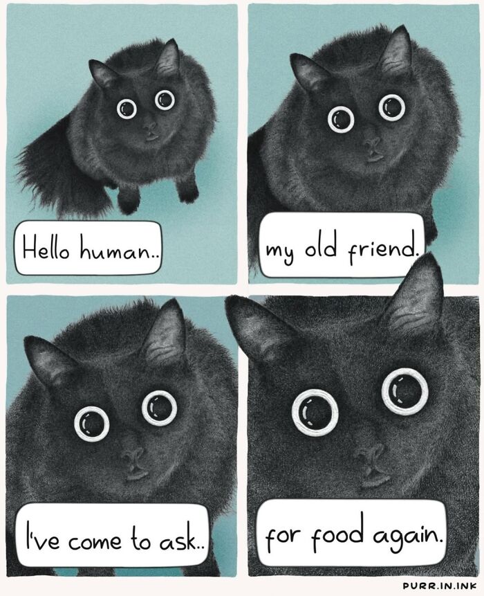 This Artist Turns Everyday Cat Behavior Into Adorable Illustrations (41 New Pics) This Artist Turns Everyday Cat Behavior Into Adorable Illustrations (41 New Pics)