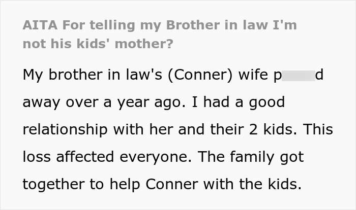 Grieving Guy Moves In With Bro And SIL, Starts Treating Her WFH Job Like Babysitting Service