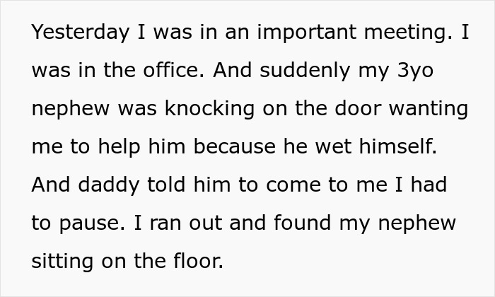 Grieving Guy Moves In With Bro And SIL, Starts Treating Her WFH Job Like Babysitting Service