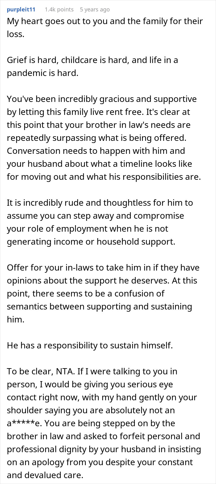 Grieving Guy Moves In With Bro And SIL, Starts Treating Her WFH Job Like Babysitting Service
