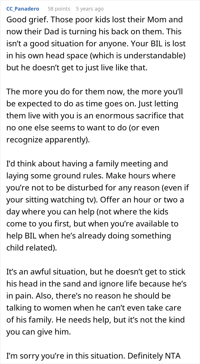 Grieving Guy Moves In With Bro And SIL, Starts Treating Her WFH Job Like Babysitting Service